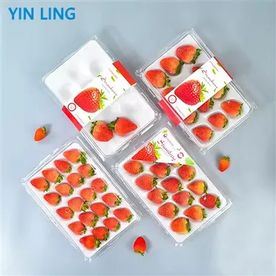 Cynhwysydd plastig mefus